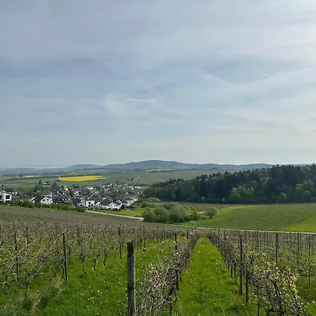 Apartment Moselherz - Urlaub Im Wein- Und Ferienort