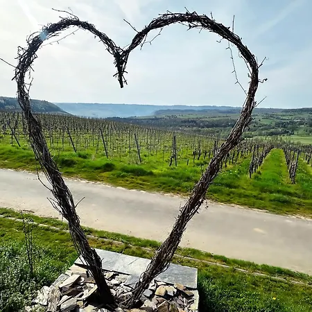 Moselherz - Urlaub Im Wein- Und Ferienort 베콘드