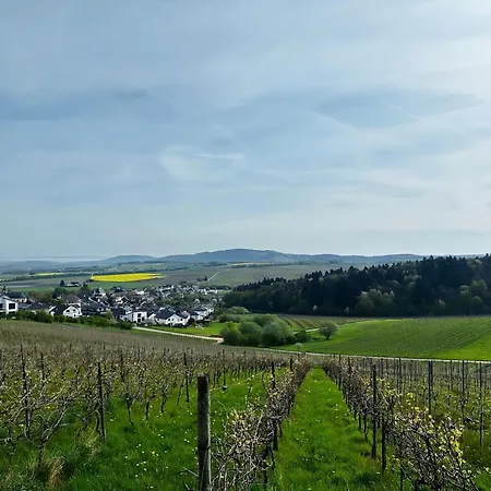 아파트 Moselherz - Urlaub Im Wein- Und Ferienort 베콘드