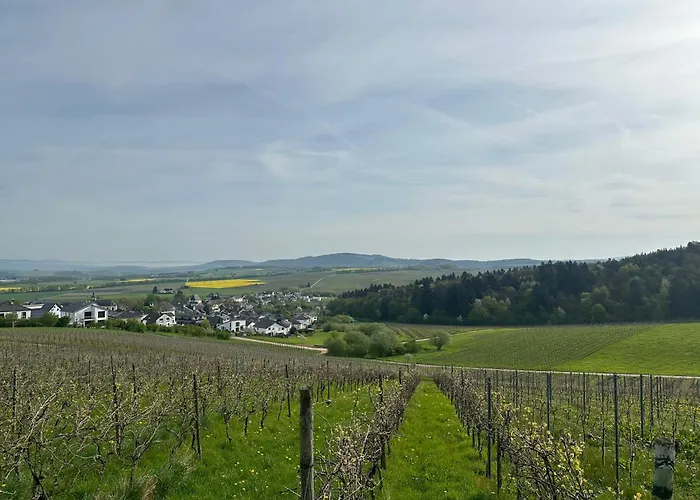 아파트 Moselherz - Urlaub Im Wein- Und Ferienort