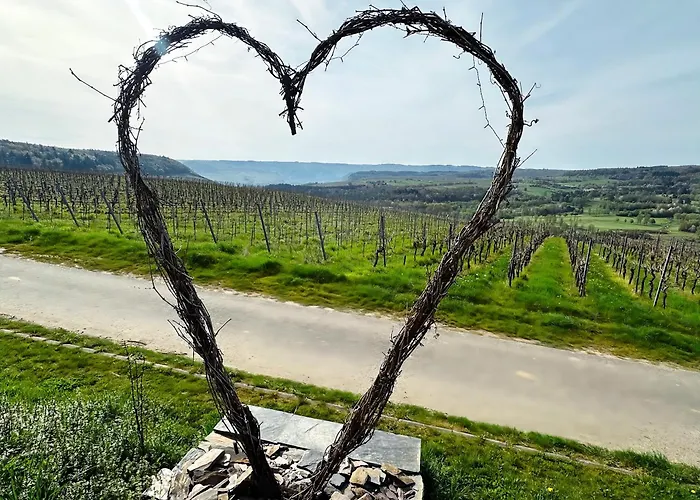 Moselherz - Urlaub Im Wein- Und Ferienort Bekond