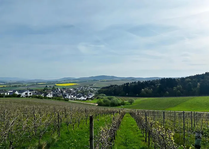 公寓 Moselherz - Urlaub Im Wein- Und Ferienort Bekond